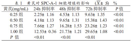 不同濃度的黃芪對 SPC-A-1 細胞生長的影響