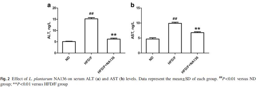 Effects of L. plantarumNA136 on liver injury